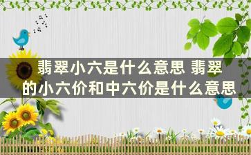 翡翠小六是什么意思 翡翠的小六价和中六价是什么意思